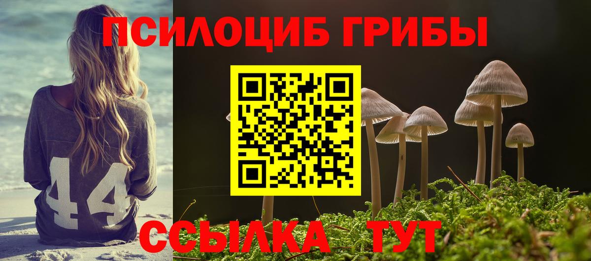 Кубинка  Псилоцибиновые грибы Cubensis  купить наркотики цена  Вход с VPN  Псилоцибиновые грибы прущие грибы 